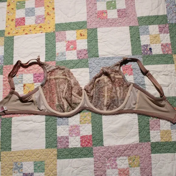 Ewa Michlak brown lace BM bra 85F - Picture 4 of 5